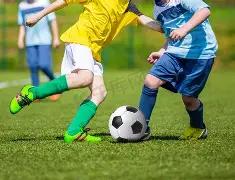 浙风劲吹,中超之巅,浙江队蓄势,kaiyun,开云,开云在线,开云体育,开云娱乐,开云官网,开云APP