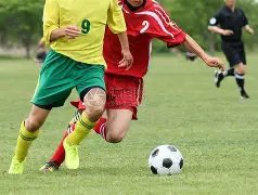 浙风劲吹,中超之巅,浙江队蓄势,kaiyun,开云,开云在线,开云体育,开云娱乐,开云官网,开云APP