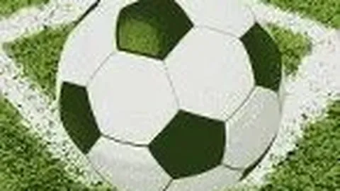 开云APP体育 资讯 133744 upn