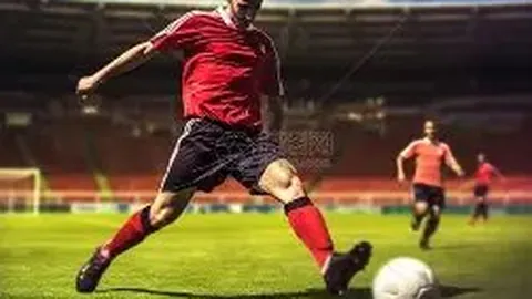 开云APP体育 资讯 102916 sim