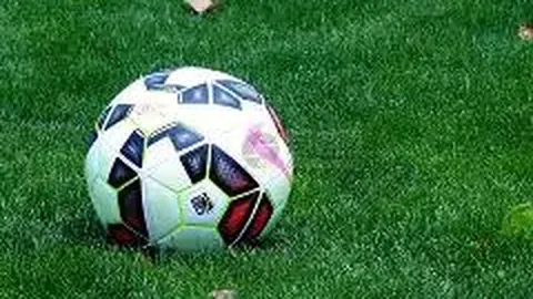 开云APP体育 资讯 102645 pms