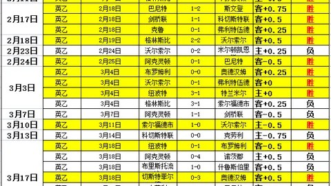 “19岁葡萄牙新星切爾米蒂加盟埃弗顿，强援助力球队攻坚锋线困境”