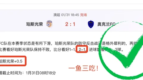 德乙埃弗斯堡VS马格德堡比赛前瞻分析